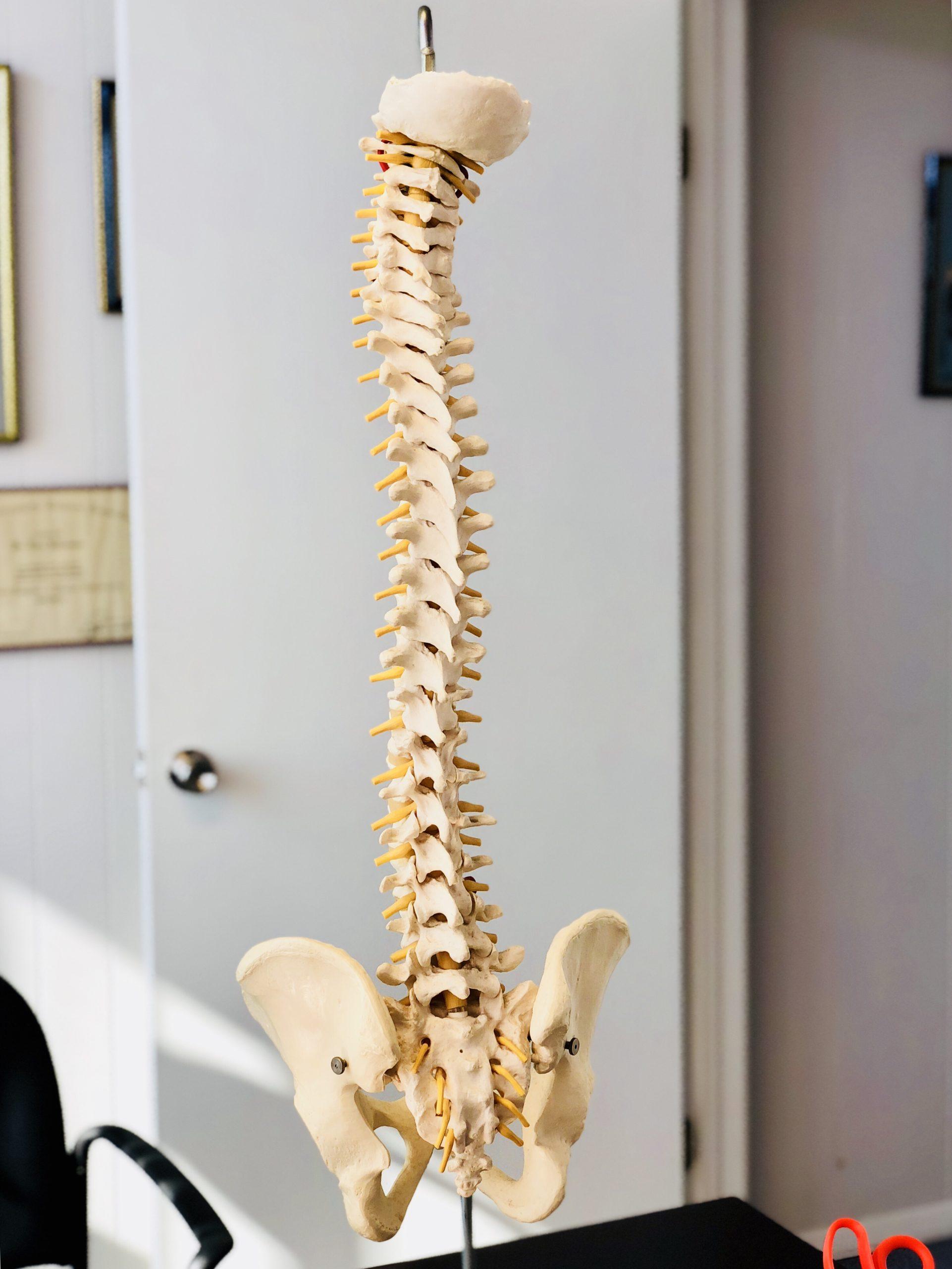 Chiropractic Care